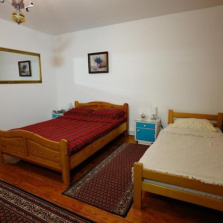 Apartman Carpe Diem Zaječar Kültér fotó